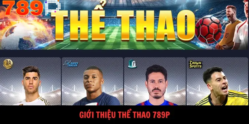 Các cược thể thao 789P